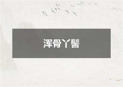 浑骨丫髻