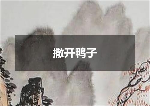 撒开鸭子