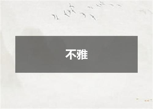 不雅