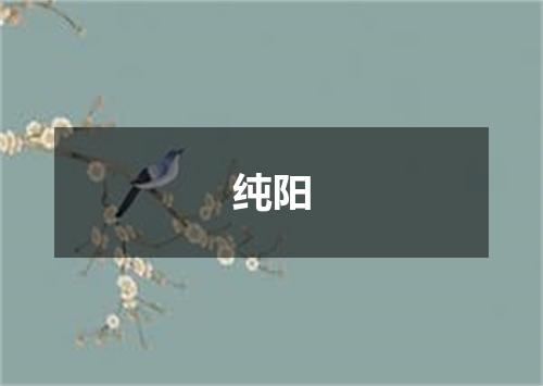 纯阳