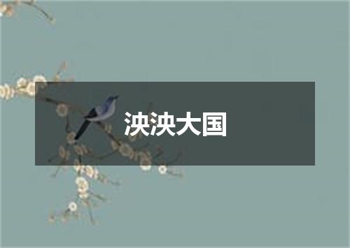 泱泱大国