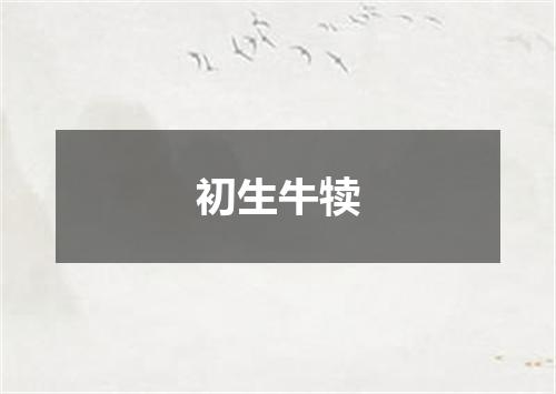 初生牛犊