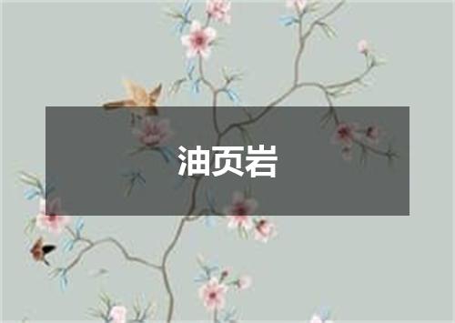 油页岩