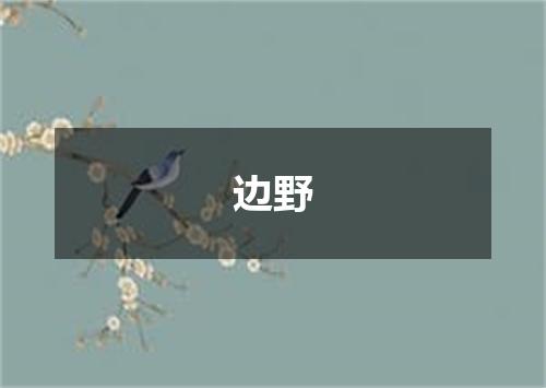 边野