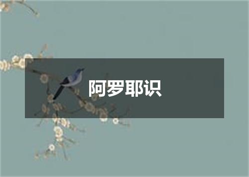 阿罗耶识