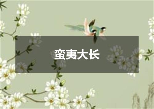 蛮夷大长