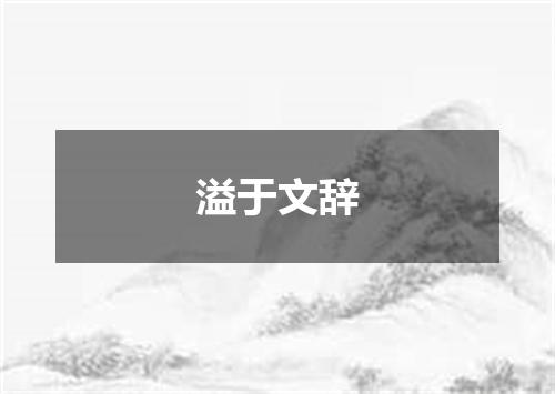 溢于文辞