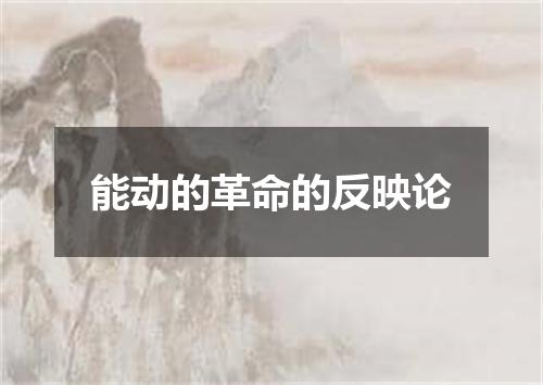 能动的革命的反映论