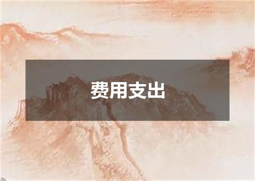 费用支出
