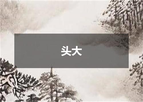 头大