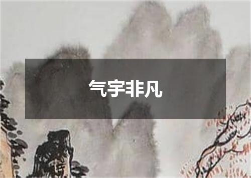 气宇非凡