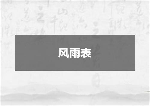风雨表