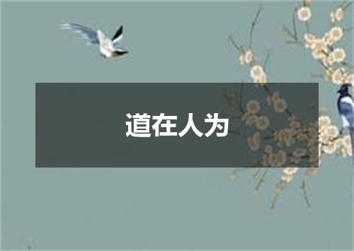 道在人为