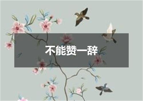 不能赞一辞