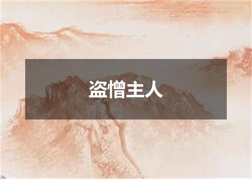 盗憎主人