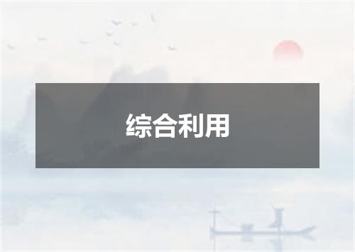 综合利用