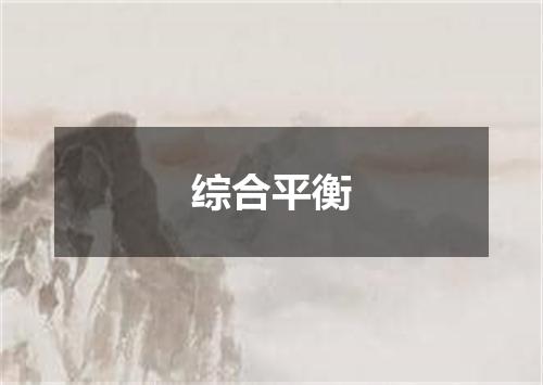 综合平衡