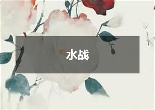 水战