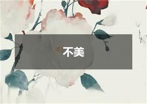 不美