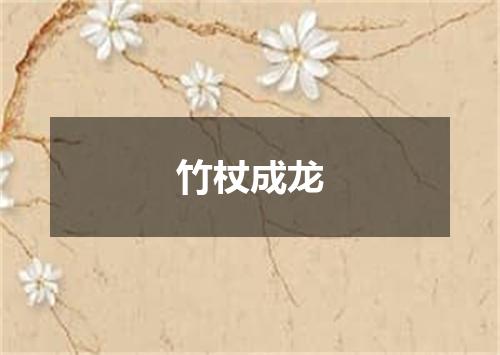 竹杖成龙