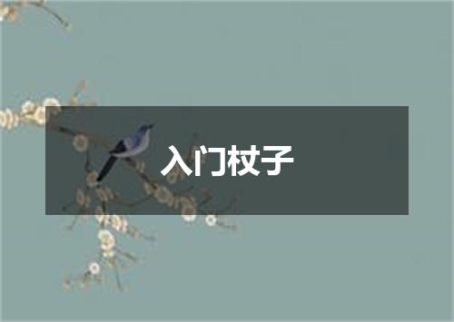 入门杖子