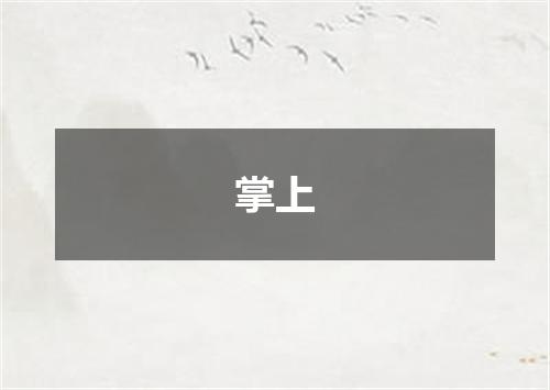 掌上