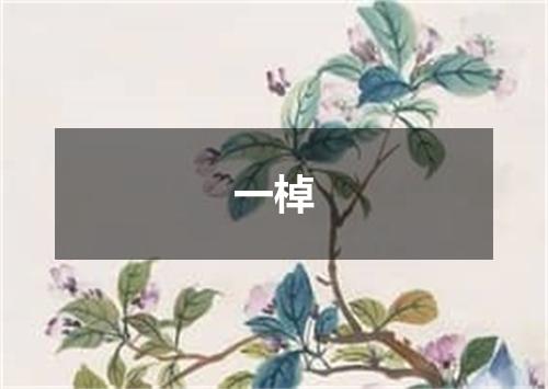 一棹