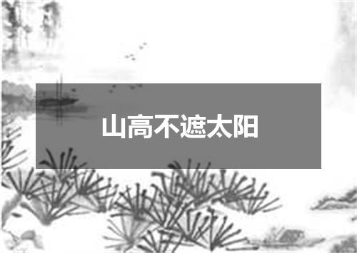 山高不遮太阳
