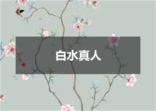 白水真人