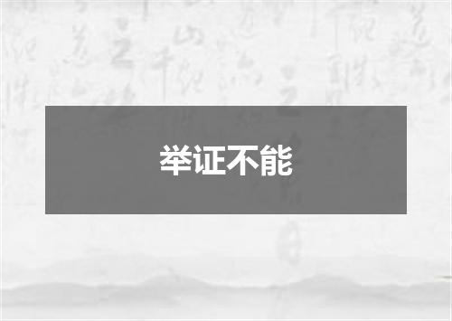 举证不能