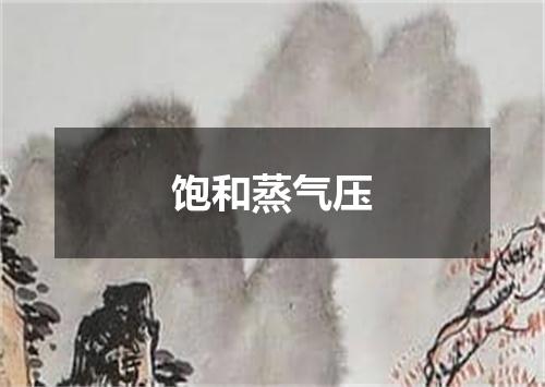饱和蒸气压