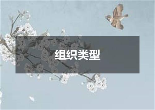 组织类型