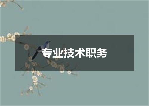 专业技术职务