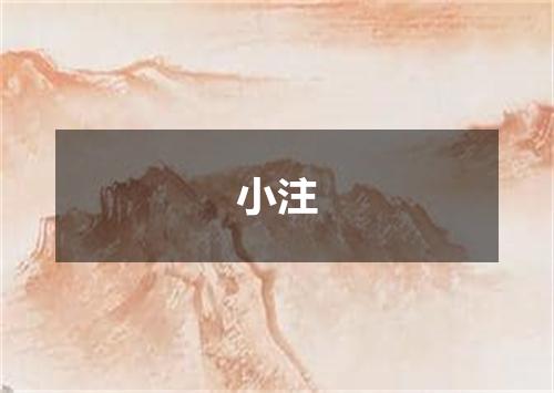 小注