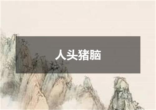 人头猪脑