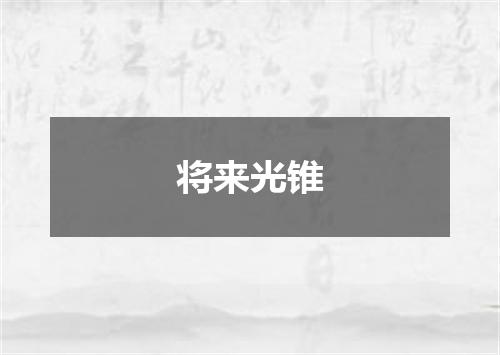 将来光锥