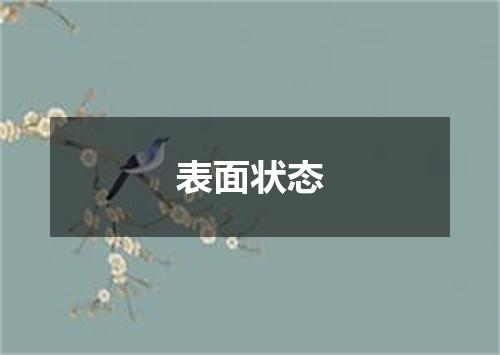 表面状态