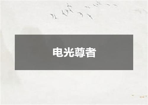 电光尊者