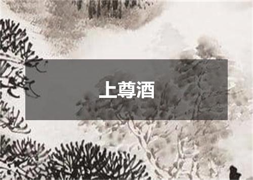 上尊酒