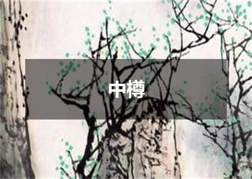 中樽
