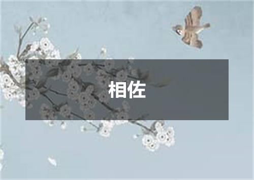 相佐