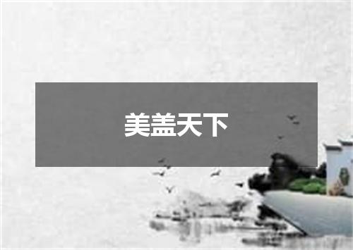 美盖天下