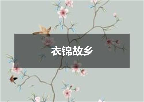 衣锦故乡