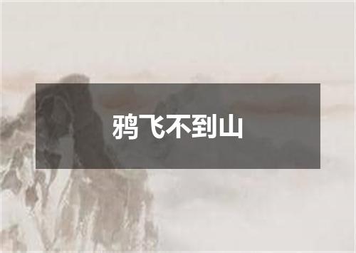 鸦飞不到山