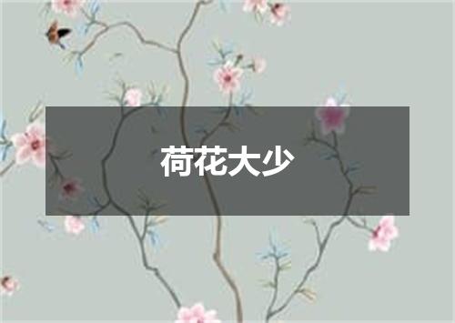 荷花大少