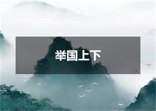 举国上下