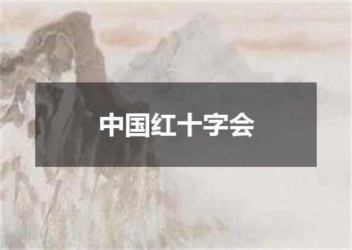 中国红十字会