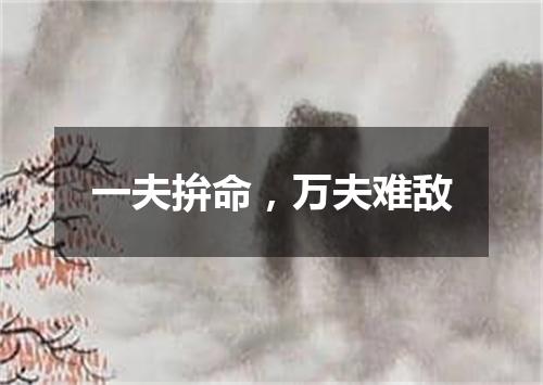 一夫拚命，万夫难敌