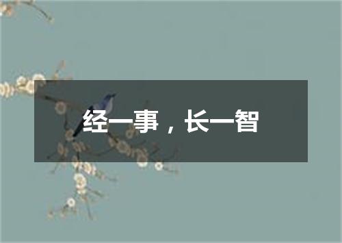经一事，长一智