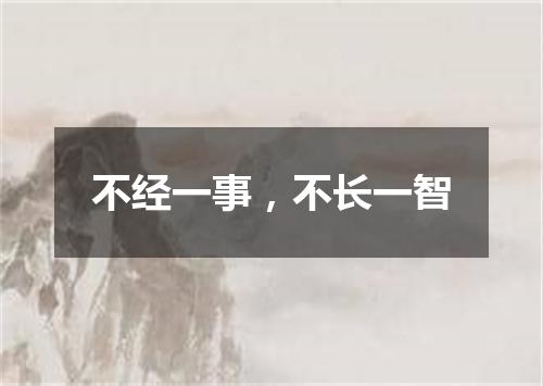 不经一事，不长一智